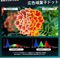 【ほぼ新品】Hisense 43型 4Kテレビ の画像