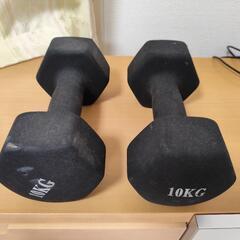 ディップススタンド　ダンベル　10kg × 2の画像