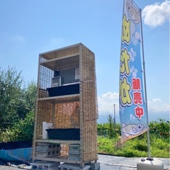 めだか無人販売（山梨市）