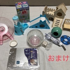 ルックルック フォーチュン ミニ グリーン / WILD(ワイルド)+おまけの画像