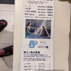 江ノ島水族館割引券の画像