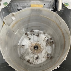 洗濯機クリーニング！【洗濯槽分解クリーニング】各種キャッシ…