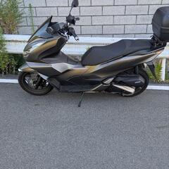 PCX125JK05マットブラウンの画像