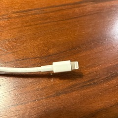 iPhone用USBアダプタの画像