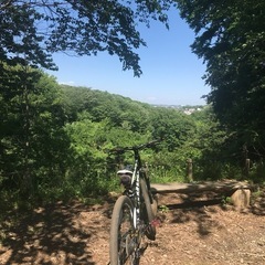 MTB キャノンデール Trail SL4 29erの画像