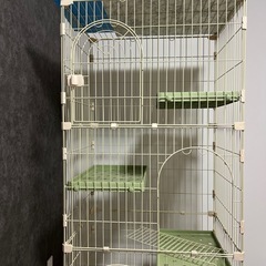 猫、ケージ、3階建ての画像