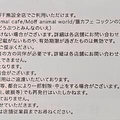 MOFF 特別ご招待券の画像