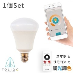 ペンダントライト 2個セット TOLIGO 調光電球付き ライト 間接照明の画像
