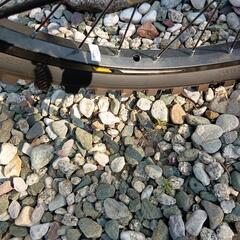 (現在先約交渉中)青い子供用自転車の画像