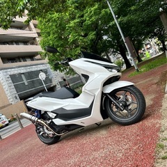 ホンダ　pcx125 の画像