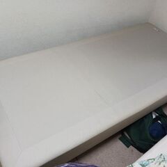 配達可!![IKEA/イケア/]SNARUM スナルム 脚付きマットレス シングルベッド  やわらかめ/ベージュ[の画像
