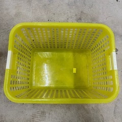 カゴ　バスケット　の画像