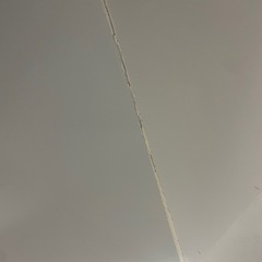 爬虫類ケージ　180の画像