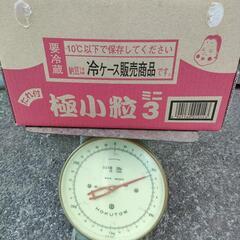 とれたて新じゃが先着5名様限定の画像