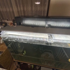 90センチアクリル水槽の画像