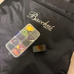 【初心者セット⭐︎】Bacchus エレキギター テレキャスタータイプ グリーンの画像