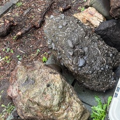庭石の画像