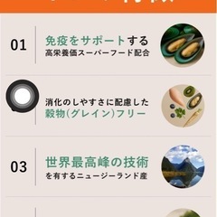 猫餌/ユニアム／未開封新品
の画像