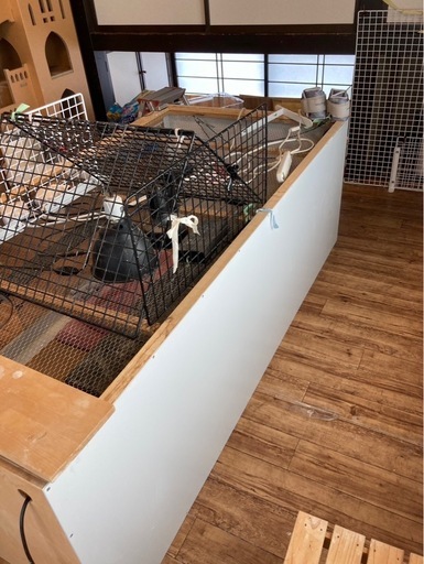 巨大爬虫類ケージ180センチFandK (ウニトカゲ) 北山形のその他の