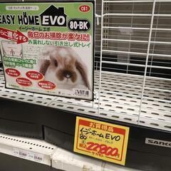 （受け渡し決定）ウサギ、モルモットゲージの画像