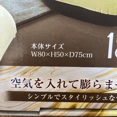 新品 プレミアムエアーソファ 2点セットの画像