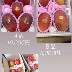 マンゴーの画像