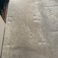 カーペットの画像