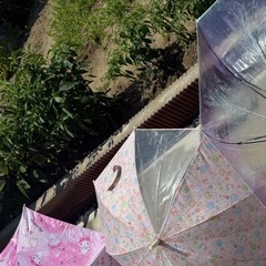 キャラクター　傘の画像