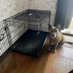 ドックゲージ 中型犬サイズの画像