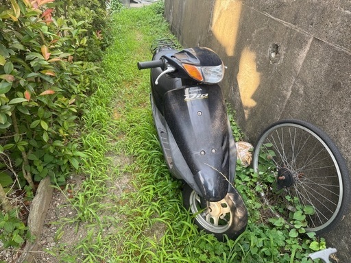 HONDA ライブディオ