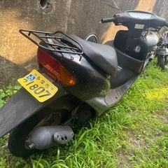 HONDA ライブディオの画像