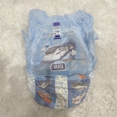 トレパンマン　プラレール　トミカ　28枚　ビッグの画像