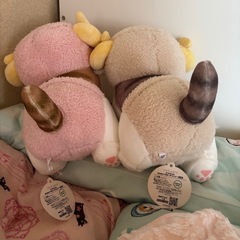 モフサンド羊にゃんの画像