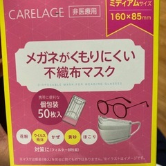 不織布マスク　個包装50枚入2箱の画像