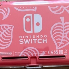 任天堂Switchライト
の画像