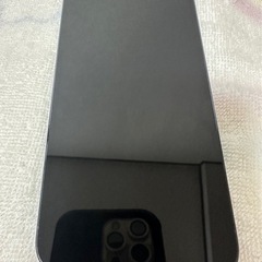 iphone 13 pro max 256gbの画像