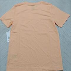 JORDAN キッズ150 バスケットボールウェア

Tシャツの画像