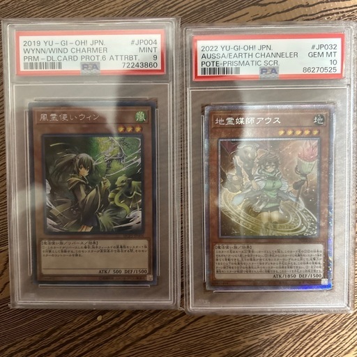 風霊使いウィンPSA9と地霊媒師アウスPSA10のセット 地霊媒師アウスPSA10 風霊使いウィンPSA9セット