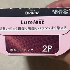白髪用ヘアカラー　ブローネ　ルミエストの画像
