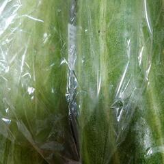 野菜【29日火曜日の18時00分頃】おまとめ優先の画像