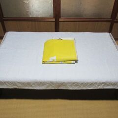 ビニール衣装ケース収納ハンガーラック埃よけクローゼットの画像