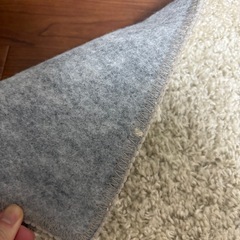 シャギーカーペットの画像