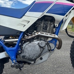 【実働・書付き】YAMAHA セロー225 3RWの画像