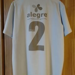 Tシャツ  水色　(LL)の画像