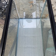 60cm 水槽　２つの画像