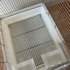 鳥かご　鳥ケージ　　の画像