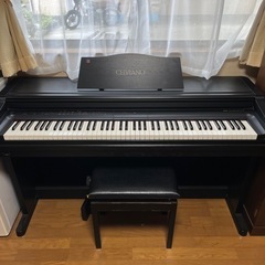 CASIO 「CELVIANO」の画像