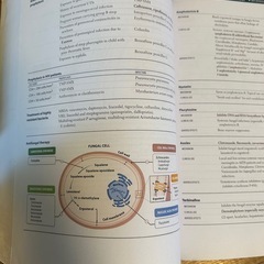アメリカ医師資格試験の参考書の画像