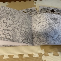 【一部未使用】大人の塗り絵（アメリカ購入）の画像