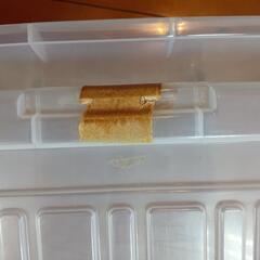 【中古・訳あり】収納ケース　衣装ケースの画像
